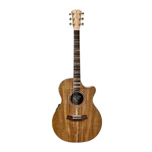 Cole Clark Studio Sran Deluxe Gitarre