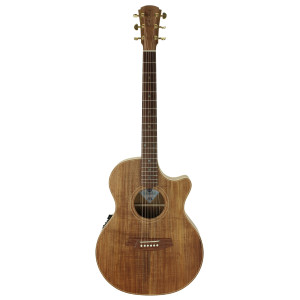 Gitarre Cole Clark Tl2ec-blbl Etui