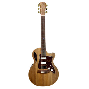 Cole Clark Gitarre Tl2ec-blbl-hss Koffer