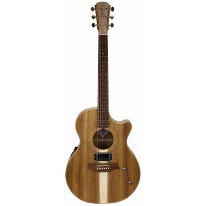 Gitarre Cole Clark Tl2ec-blbl-hu Koffer