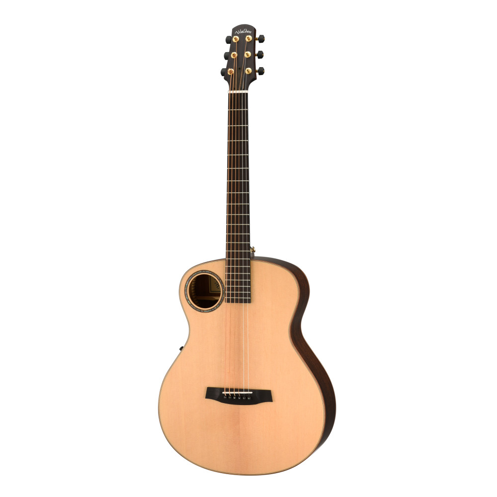 Walden Baryton-Gitarre B103eh