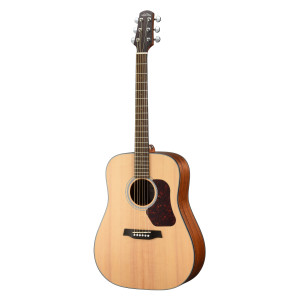 Walden Dreadnought-Gitarre D550ew