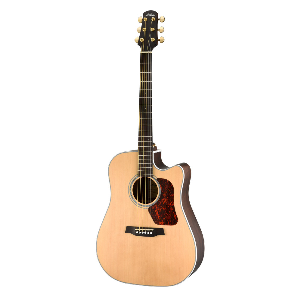 Walden Dreadnought Gitarre D603cew