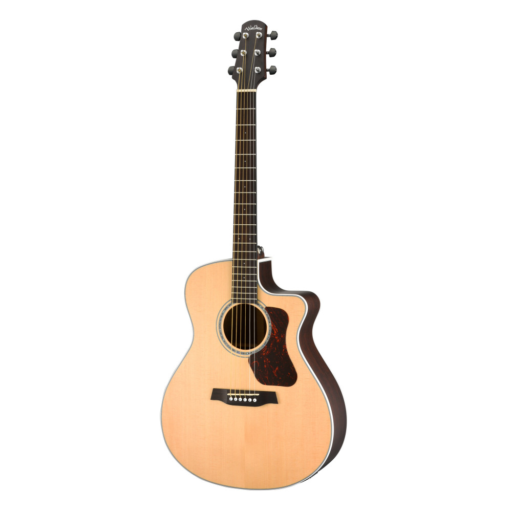 Walden G.auditorium G803cew Gitarre