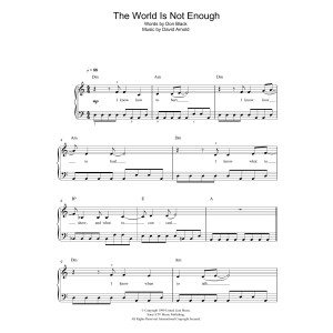 The World Is Not Enough