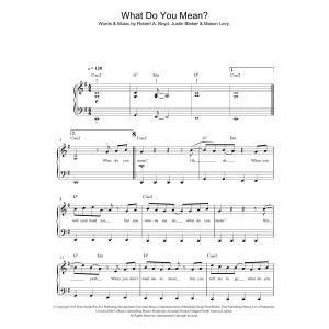 What Do You Mean?