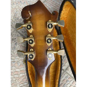 Ibanez 2405 Custom Agent