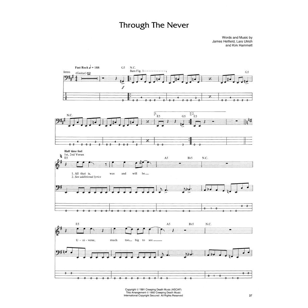 Through The Never