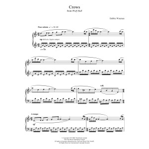 Crows (From 'Wolf Hall')