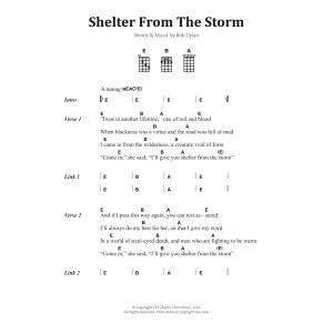 Shelter From The Storm