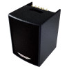 Ashdown Ampli Acoustique 100w, 2 Kanäle