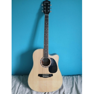 Woodbrass DG1CE is an acoustic-electric guitar that offers excellent sound quality and versatility. This dreadnought guitar feat