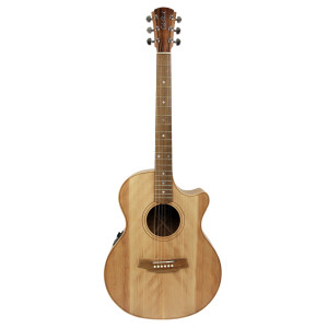 Cole Clark An2ec Gitarre, Etui
