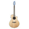 Breedlove Discovery S Konzert Nylon Ce