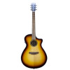 Breedlove Discovery S Concerto Ce Edge