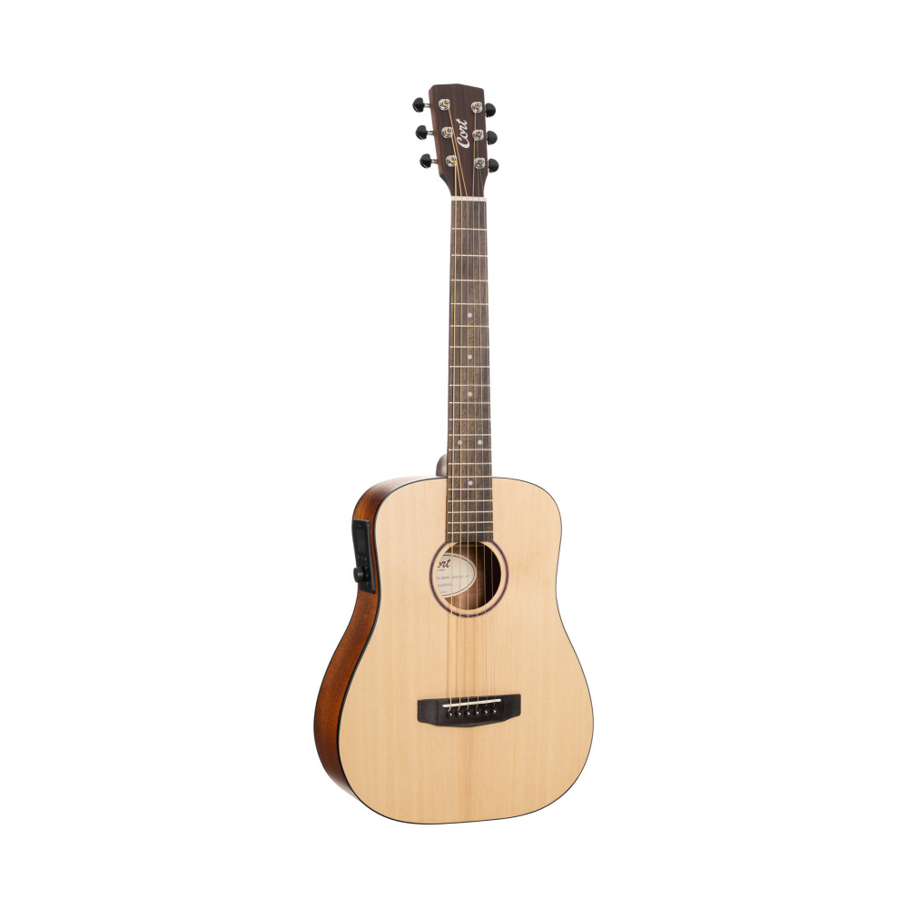 Cort Earth Go Hyvibe Gitarre, Gigbag