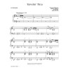 Travelin' Thru - Synthesizer