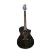 Breedlove Rainforest S Concert Black Gld
