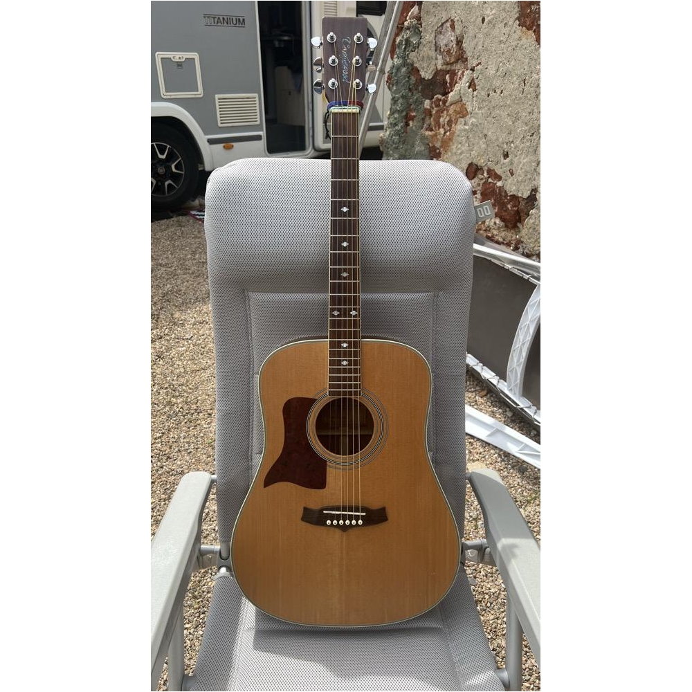 Tanglewood TW15 sundance zurdo