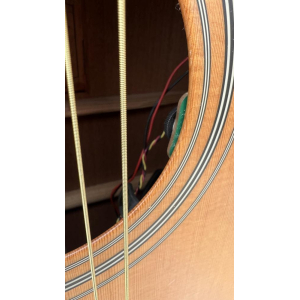 Tanglewood TW15 sundance Gaucher