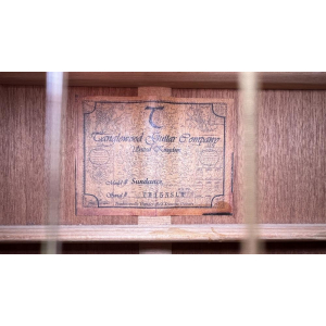 Tanglewood TW15 sundance Gaucher