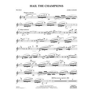 Hail the Champions - Piccolo