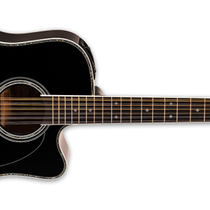Takamine EF381DX Guitare électro-acoustique Dreadnought 12 cordes - Noir avec érable