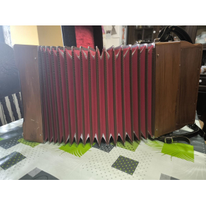 Acordeon diatonico