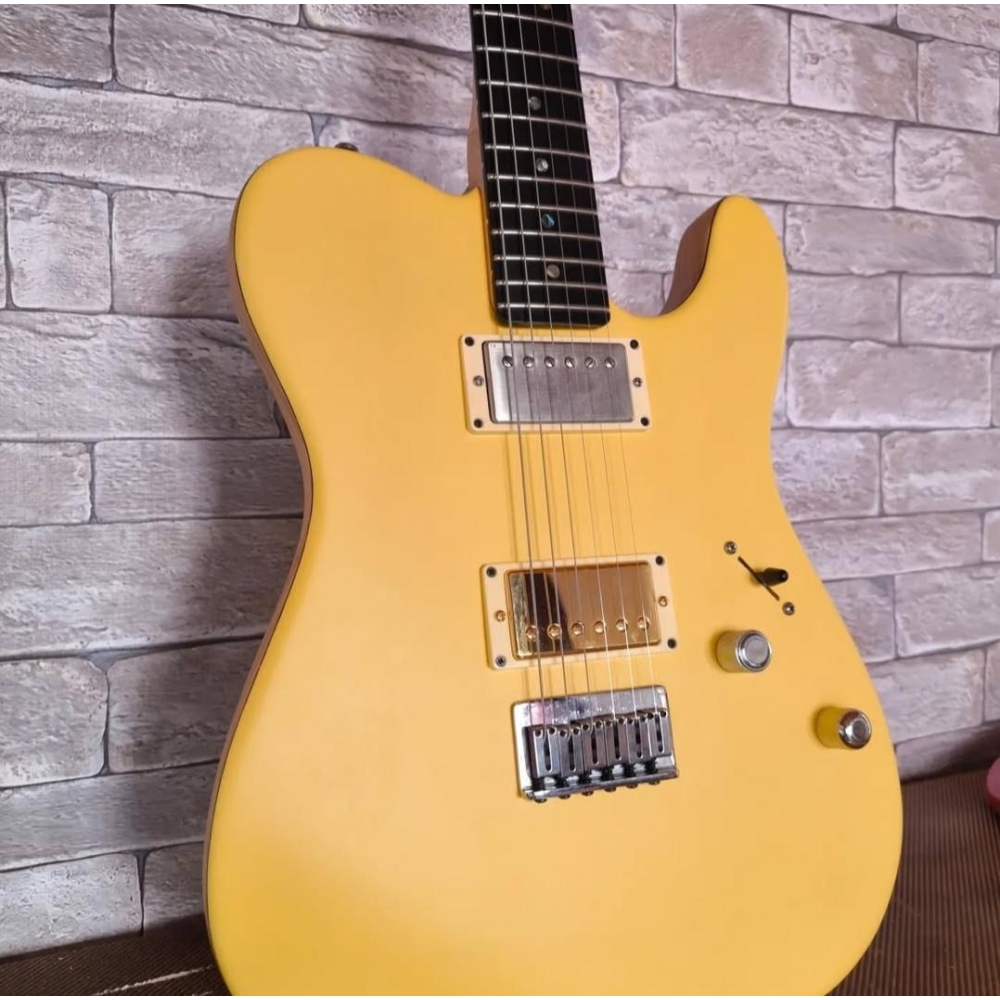 Telecaster American Deluxe by Fender equipped with Shur SSV pickups.