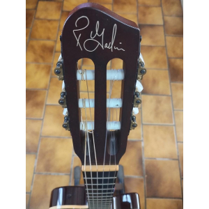 Godin Grand Concert SA