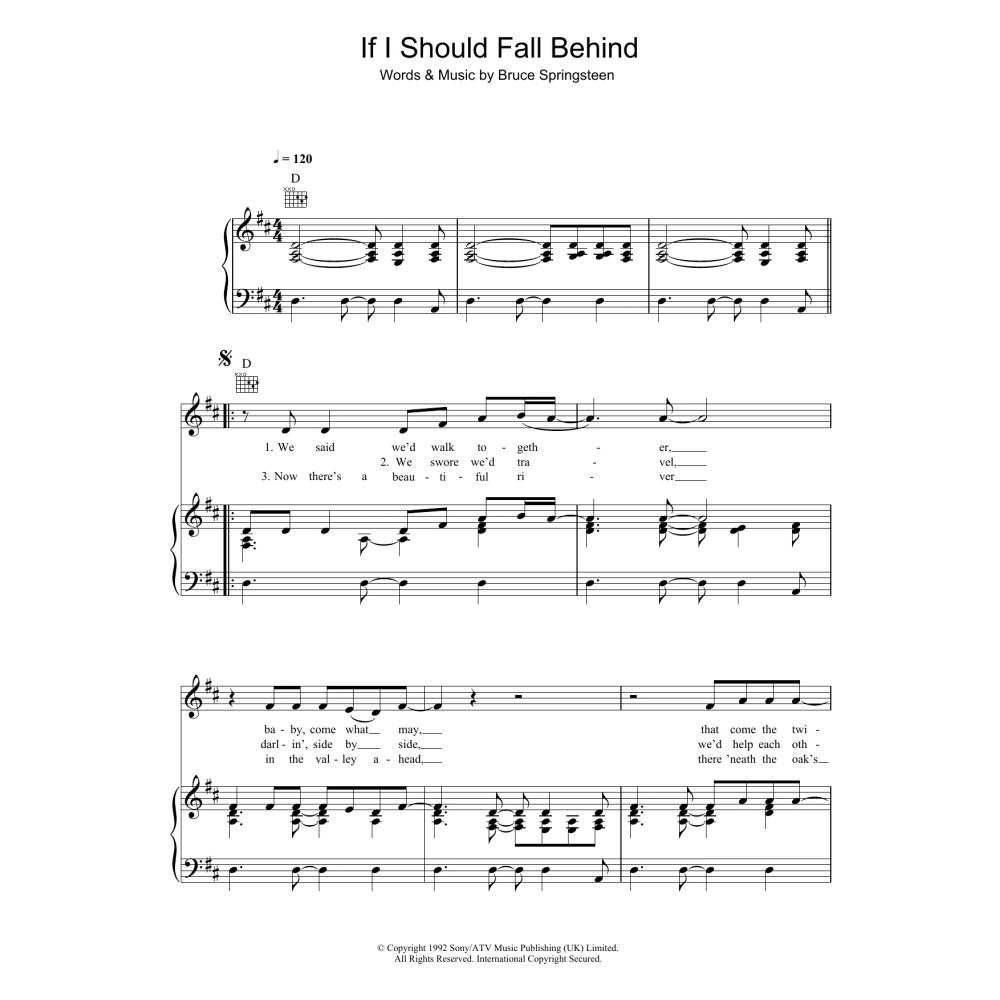 If I Should Fall Behind
