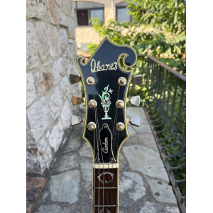 Ibanez 2405 Custom Agent