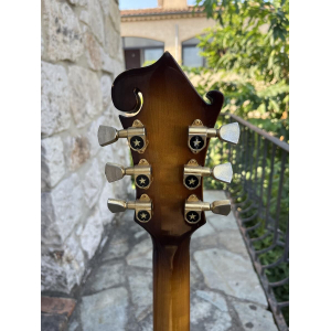 Ibanez 2405 Custom Agent