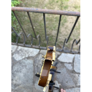 Ibanez 2405 Custom Agent