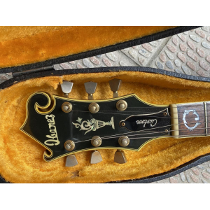 Ibanez 2405 Custom Agent