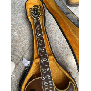 Ibanez 2405 Custom Agent