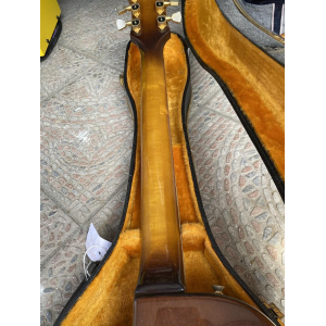 Ibanez 2405 Custom Agent