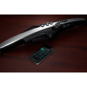 Roland Aerophone Pro AE-30 Digital Wind Instrument - Silver