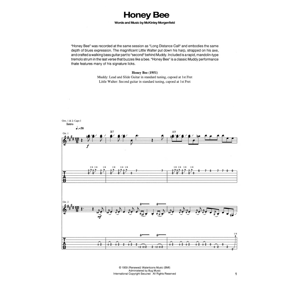 Honey Bee
