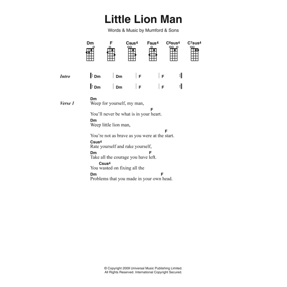 Little Lion Man