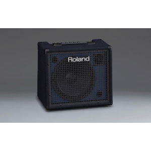 Roland KC-200 - 100W 12" Keyboard Amp