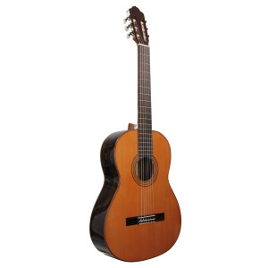 Guitare Esteve 3z F/e Ziricote