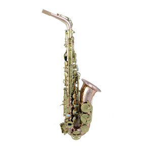 Trevor James Saxophone Alto Sr 374sr-rk
