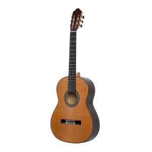 Guitare Esteve 65 Anos