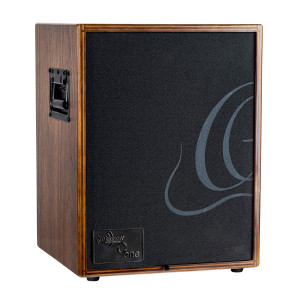 Ampli Ortega 100w, 2 Canaux, Rev/chorus