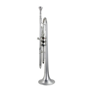 Trompette Si Bemol Carolbrass Pjl7s