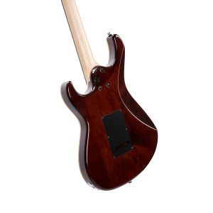 Cort Guitare G280 Select Ambre