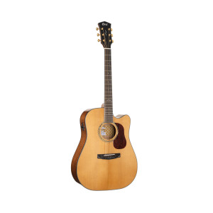 Cort Gold Dc6 Natural Glossy Guitar