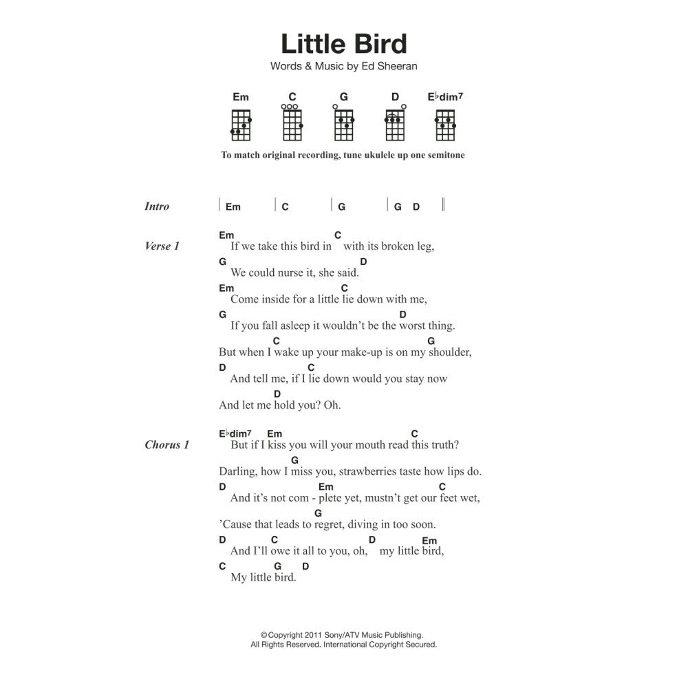 Little Bird