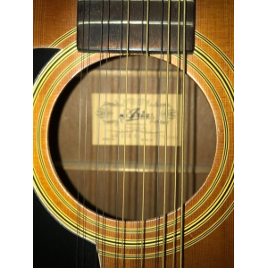 Aria électro acoustique 12 cordes